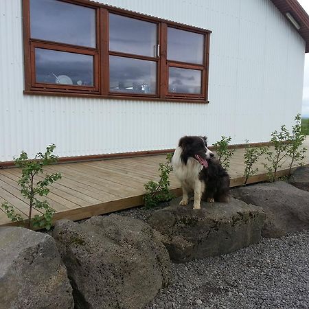 Skalinn Between Gullfoss And Geysir - Myrkholt Farm Haukadalur Extérieur photo