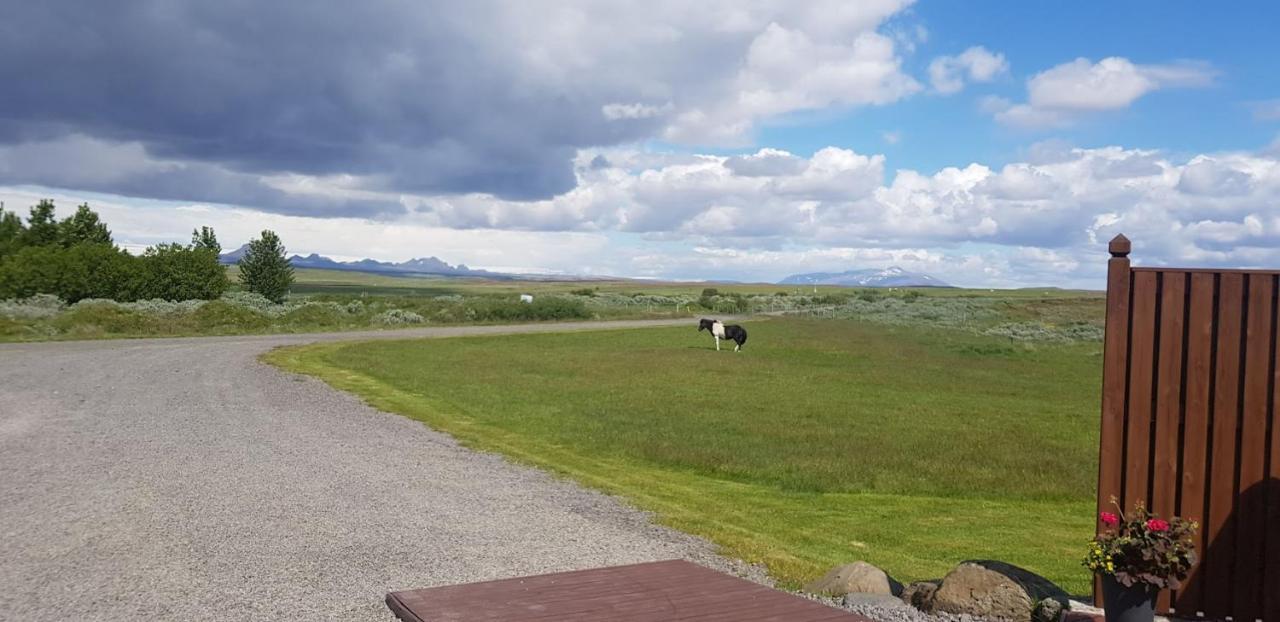 Skalinn Between Gullfoss And Geysir - Myrkholt Farm Haukadalur Extérieur photo