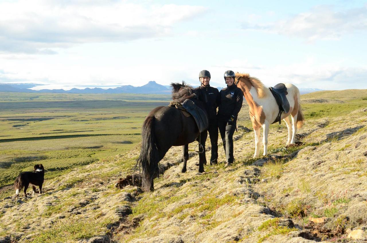 Skalinn Between Gullfoss And Geysir - Myrkholt Farm Haukadalur Extérieur photo